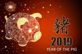 year of the pig