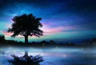 Protective Tree