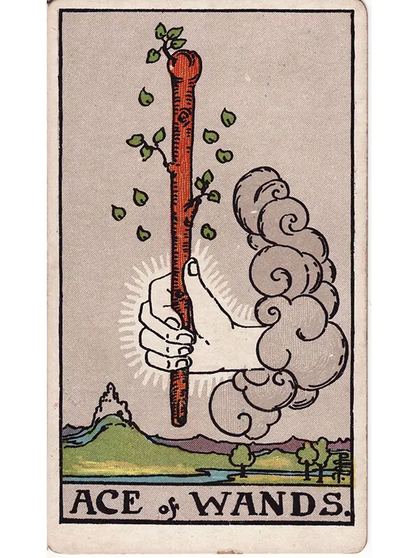 suit of wands