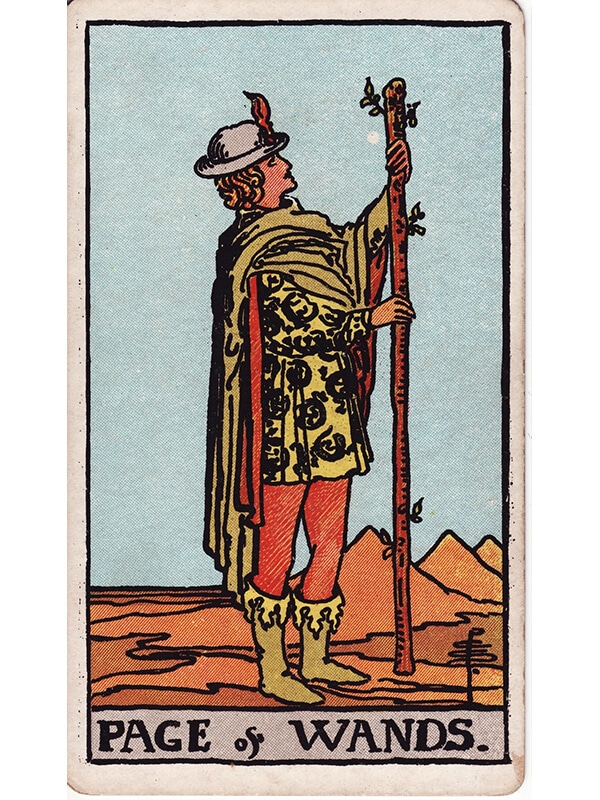 Page of wands Rider Waite tarot