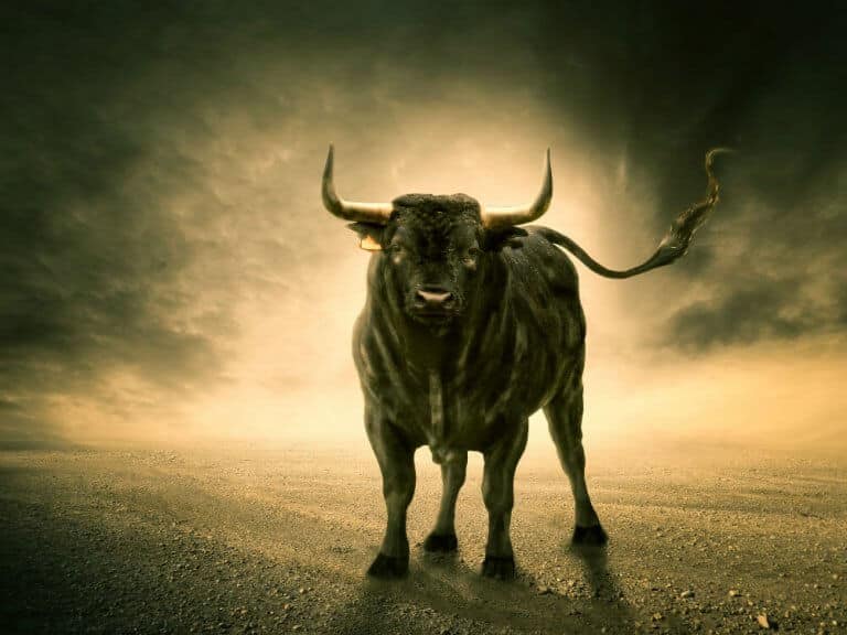 Hey Toro! The Story of Star-Bull Taurus - askAstrology Blog