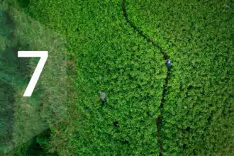 Life Path Number 7