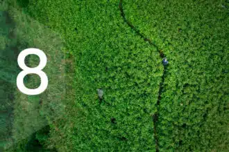 Life Path Number 8