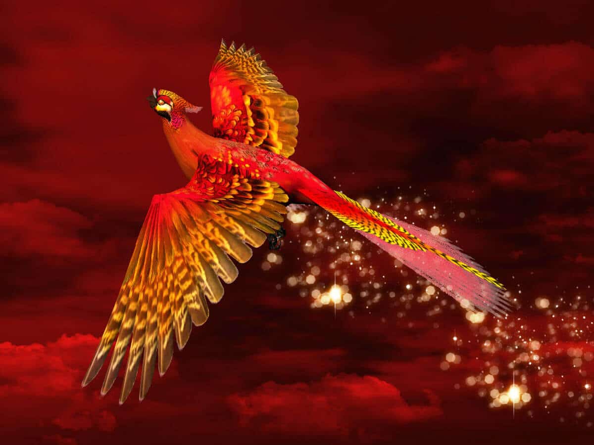 Feng Red Phoenix: of the South askAstrology Blog
