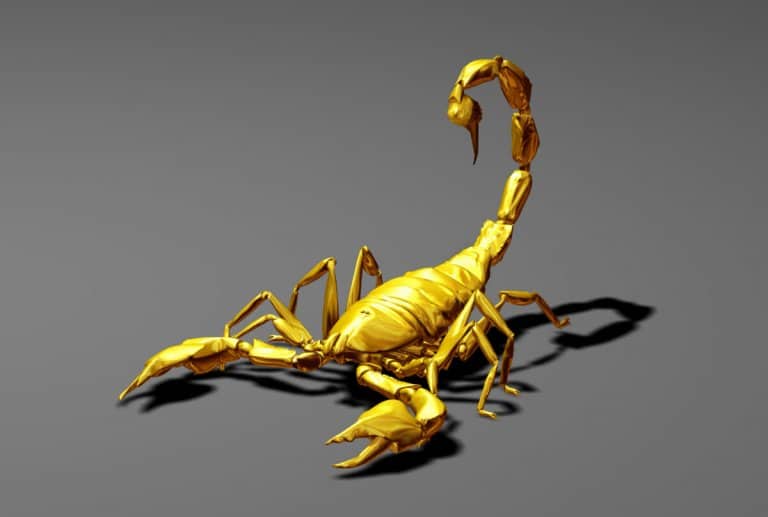 Scorpio The Celestial Scorpion