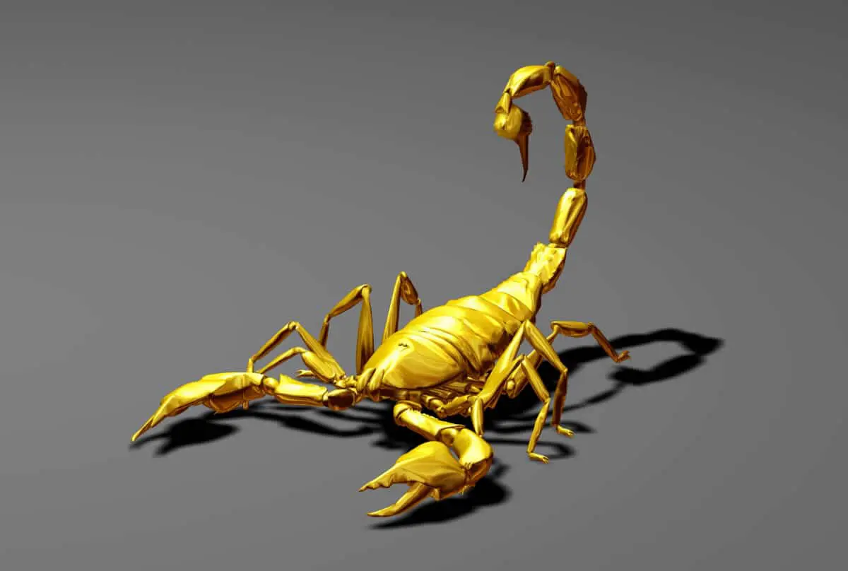 Scorpio…The Celestial Scorpion - askAstrology