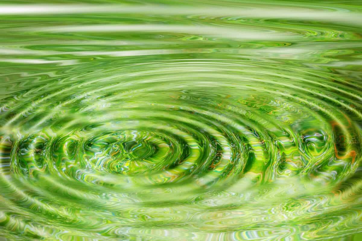 Sabiduría del Feng Shui para tu jardín y patio