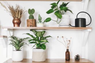 Living Feng Shui Cures Houseplants