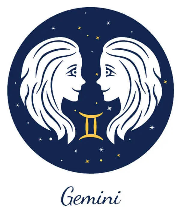 Gemini zodiac signs