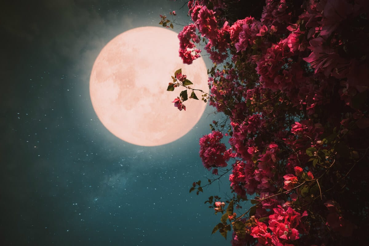 The Full Flower Moon 2020 askAstrology Blog