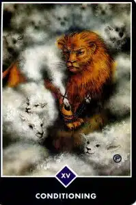 Acondicionamiento Tarot Zen Osho