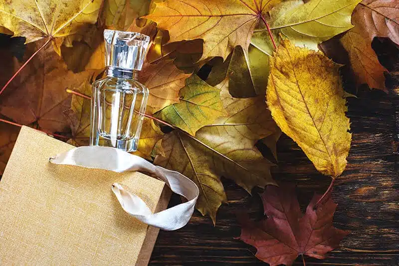 Las mejores fragancias de otoño para cada signo del zodiaco