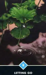 8 of Water Letting Go Osho Zen Tarot