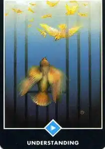 Al Este del Agua Comprender el Tarot Zen de Osho