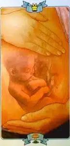 Queen of Cups Law of Attraction Tarot