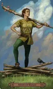 Tarot Hechicero 7 de Bastos