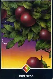 9 de la maturité de l'arc-en-ciel Osho Zen Tarot