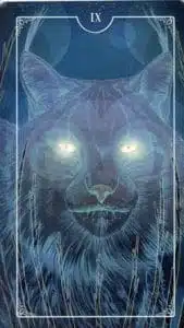 9 of Wands Ostara Tarot