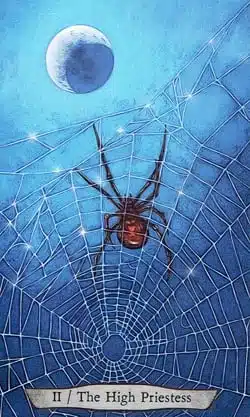 Tótem Animal Tarot Suma Sacerdotisa Carta de la Araña