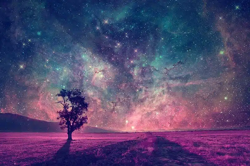 Sueños que yacen en el interior