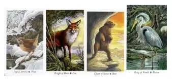 Las cartas del tarot de Wildwood