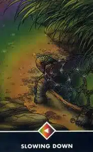 Oeste do Arco-Íris – Desacelerando – Tarô Osho Zen