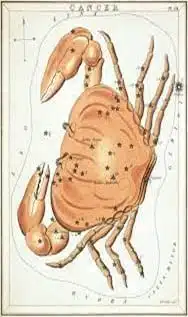 Cáncer el cangrejo cósmico
