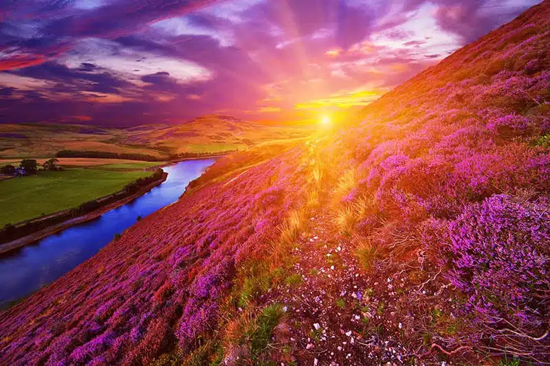 Intuitive Life Path Messages for August 2021