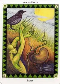 Carta Semilla del Tarot Espíritu Salvaje