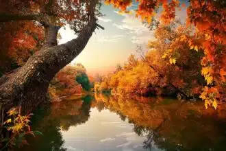 revolutionary autumn season