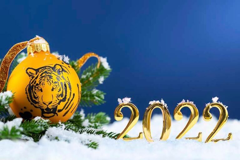 2022 the year of the tiger