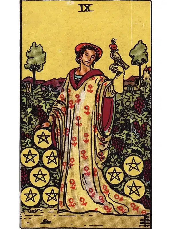 9 of pentacles Rider Waite tarot