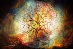 chakra system and the tree of life