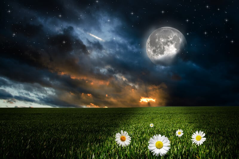 Full Flower Moon Monday, May 16 is the 2nd full moon of the Spring 2022