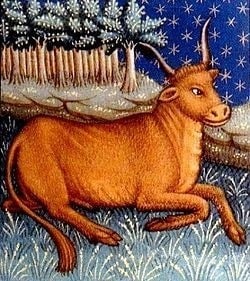 Decans of Taurus - bull