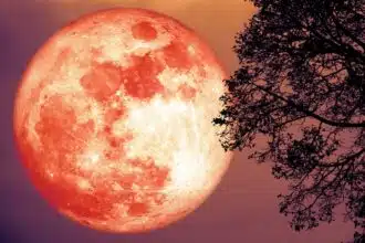 The Full Strawberry Moon 2022