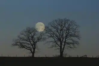 The Full Sturgeon Moon 2022