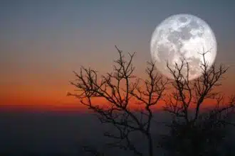 The Full Beaver Moon 2022