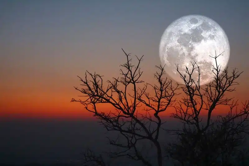 La Luna Llena del Castor 2022