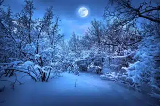 The Full Cold Moon 2022