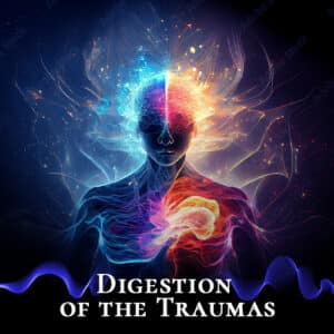 Digestion-of-the-Traumas
