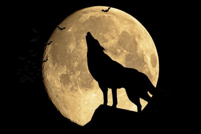 The Full Wolf Moon 2023