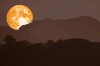 The March Full Moon The Worm Moon in Virgo