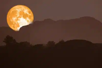 La Luna Llena de Marzo – La Luna Gusana en Virgo