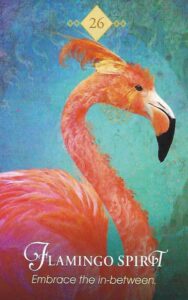 Flamingo Spirit