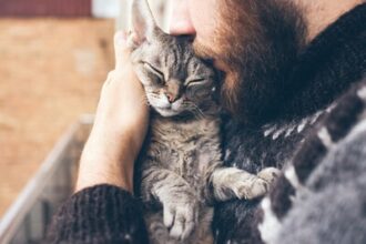 The Power of Pet Rituals_ Strengthening the Spiritual Bond with Your Furry Friends