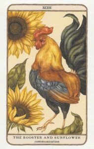The Rooster and Sunflower