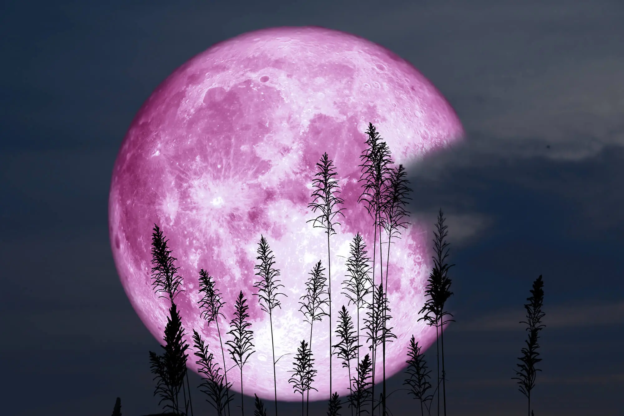 pink moon april 2024