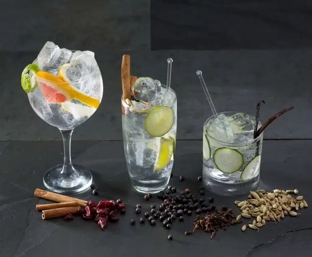 gemini-gin-tonic