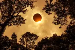 Unveiling the Ring of Fire: The Astrology of the Annular Solar Eclipse on October 2nd, 2024